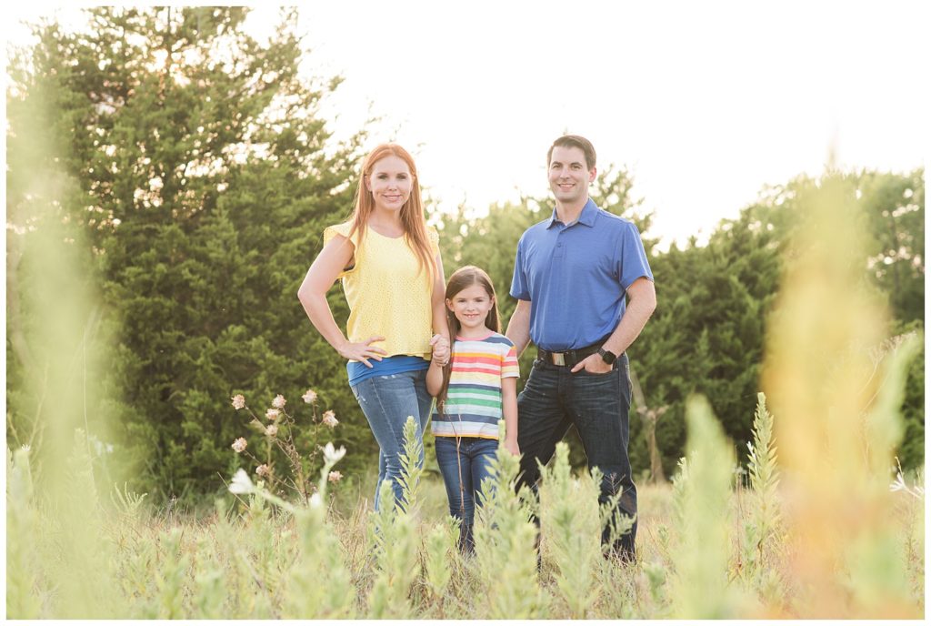 summer family portrait in a field