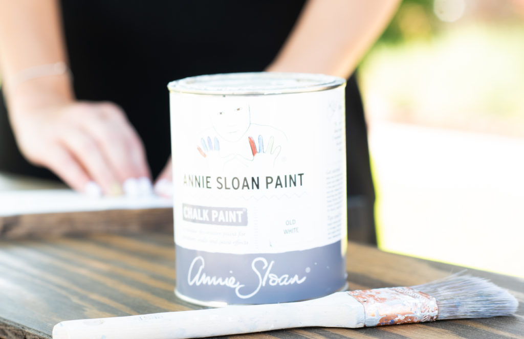 Annie Sloan chalk paint and paint brush close ups for branding photo session