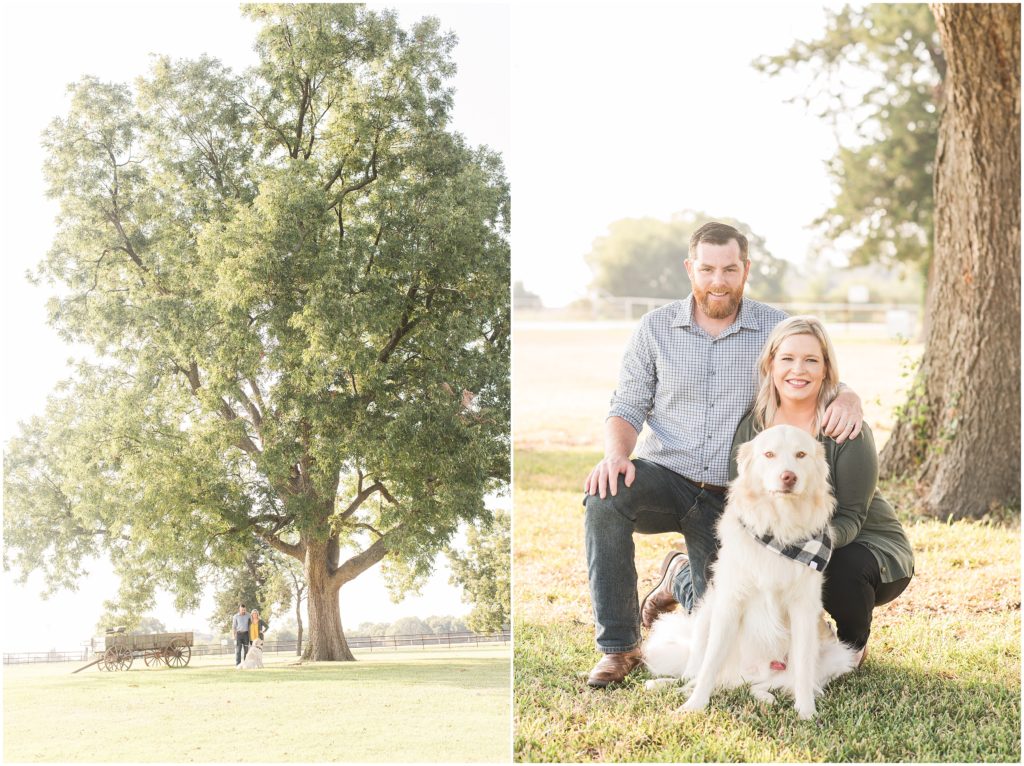 Large pecan tree and husband and wife with dog in Dallas area for personal brand shoot